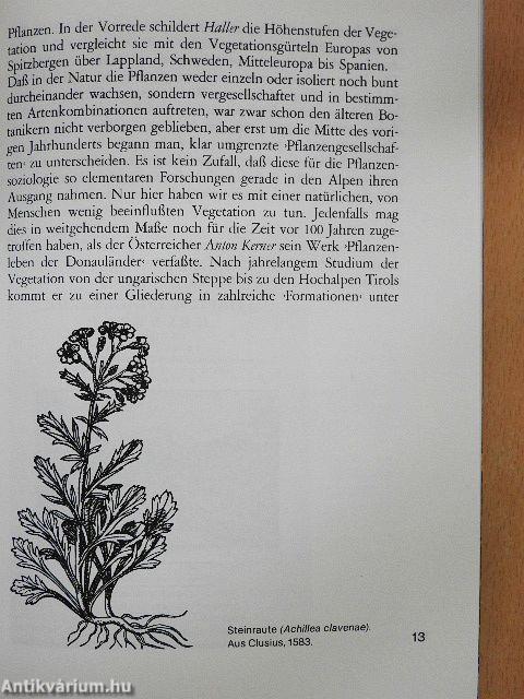 Die Pflanzenwelt der Alpen