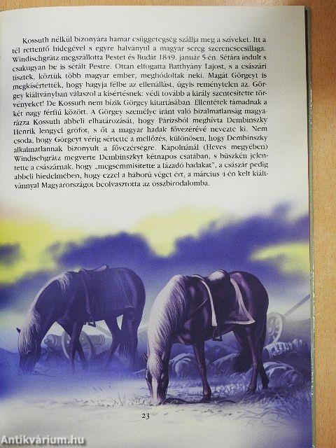 A szabadságharc kora