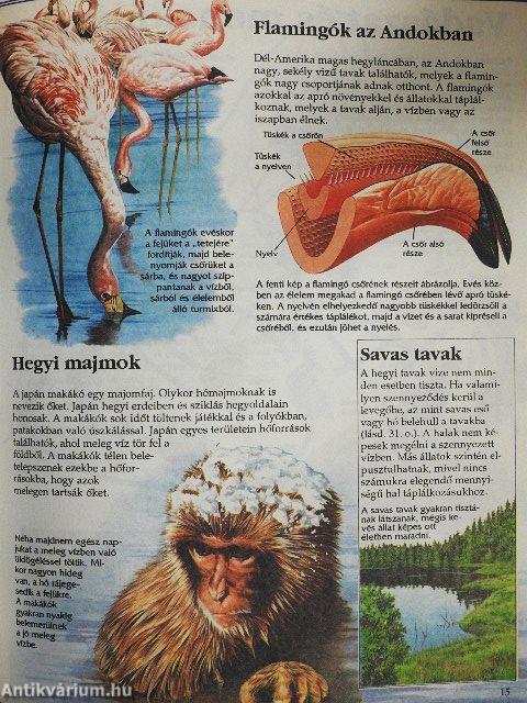 Az állatok nagy enciklopédiája