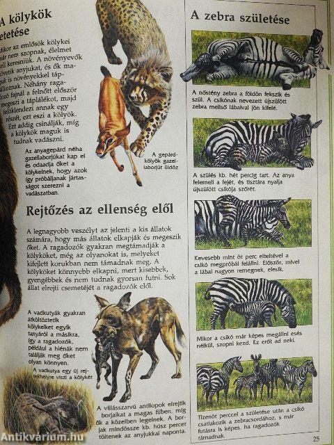 Az állatok nagy enciklopédiája