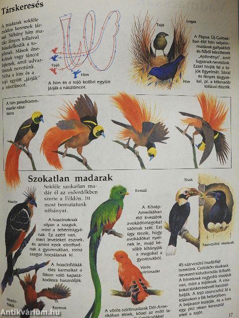 Az állatok nagy enciklopédiája