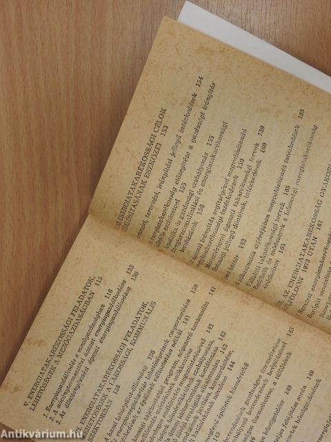 Energiagazdálkodás, energiatakarékosság