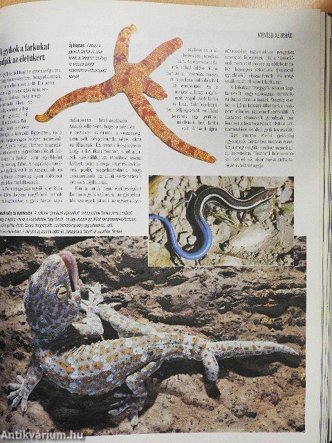 A természet megfejtett titkai