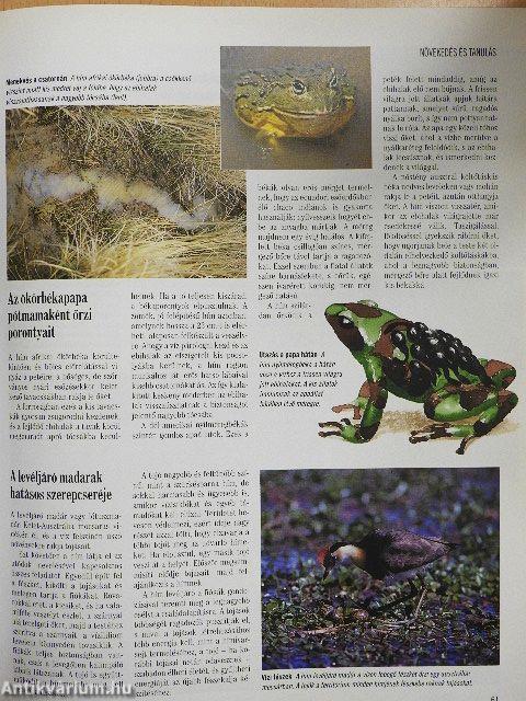 A természet megfejtett titkai