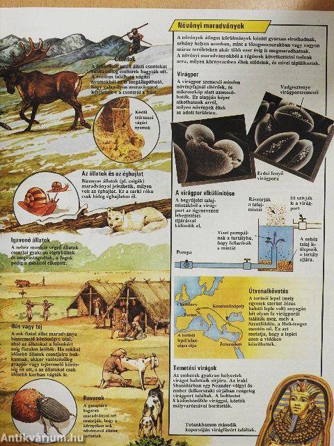 A tudomány nagy enciklopédiája