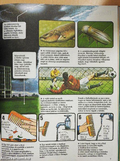 A tudomány nagy enciklopédiája