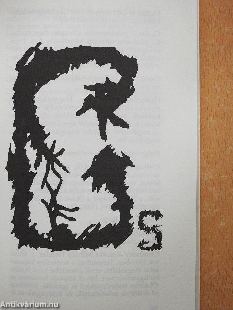 Magyar-Magyar nagyszótár