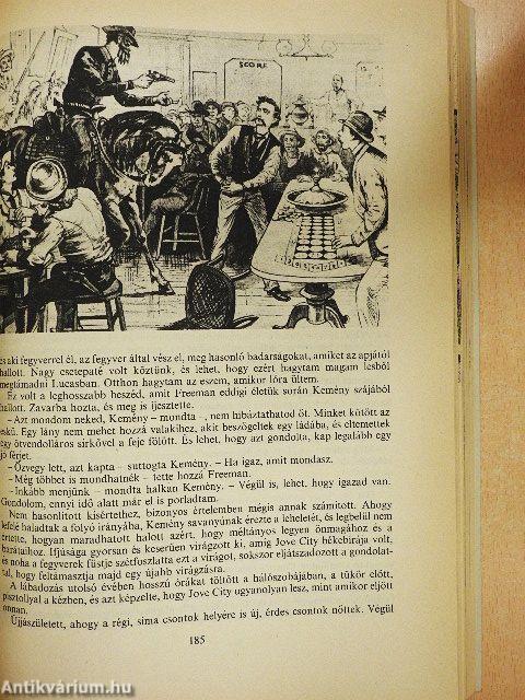 Vadnyugati történetek