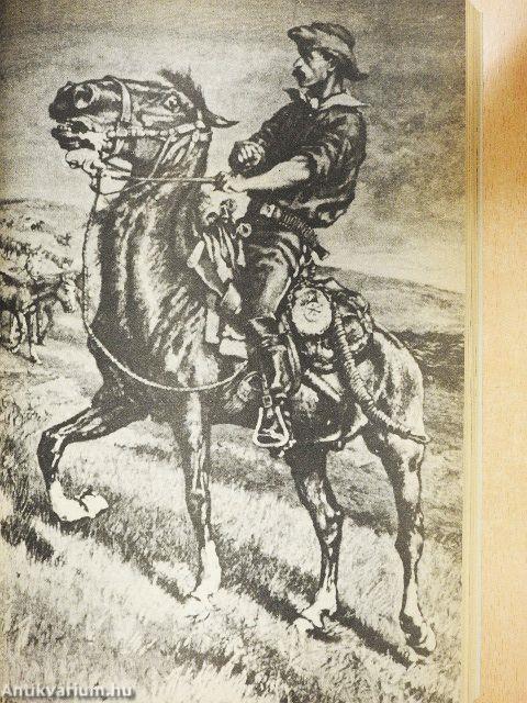 Vadnyugati történetek