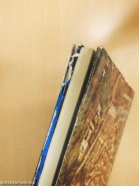 Város, ember, környezet