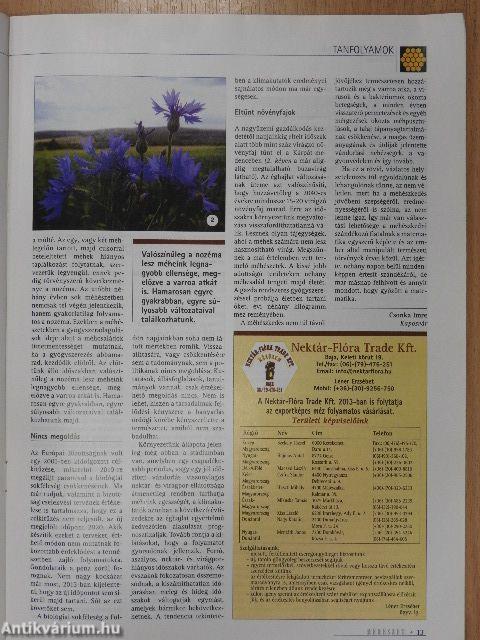 Méhészet 2013. október