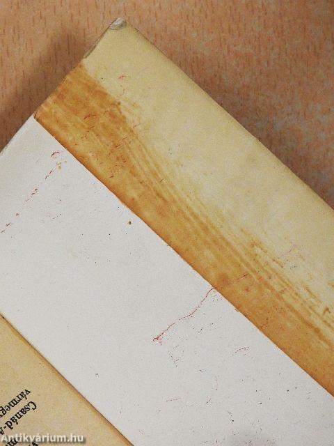 Vitéz Takács Mihály szomorú életének és hősi tetteinek története