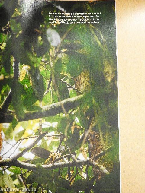 National Geographic Magyarország 2016. december