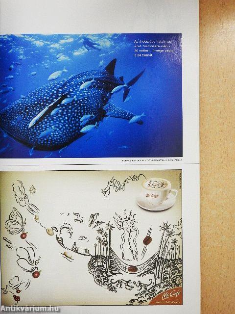 National Geographic Magyarország 2007. november