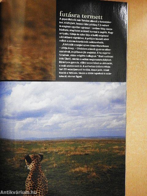 National Geographic Magyarország 2005. január