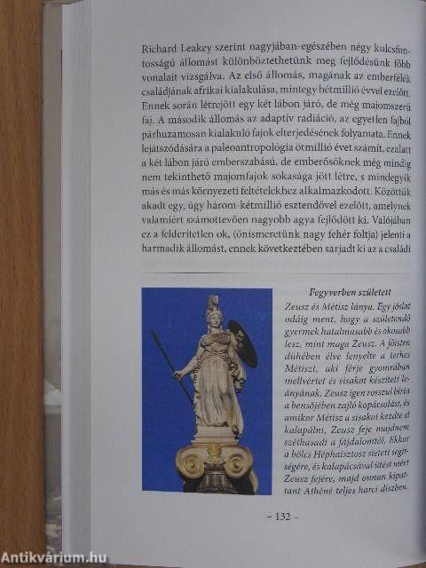 Az almafa törvénye