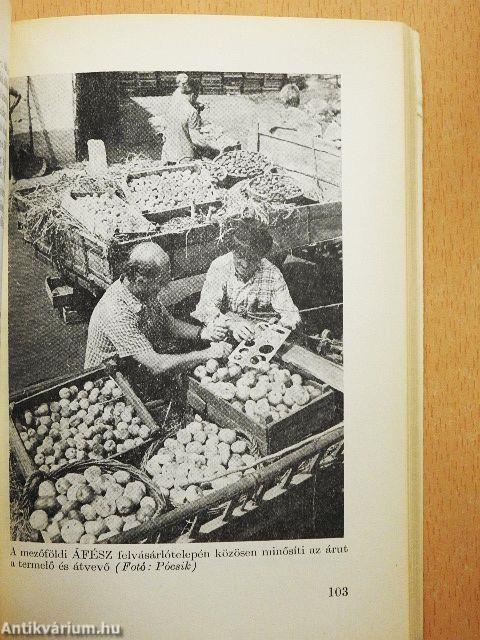Áruismereti és -értékesítési tanácsadó házikerti termelőknek