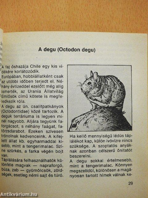Kisemlősök a lakásban/Hörcsögöt kaptam