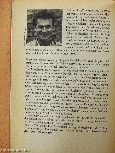 Folge dem gelben Steinweg