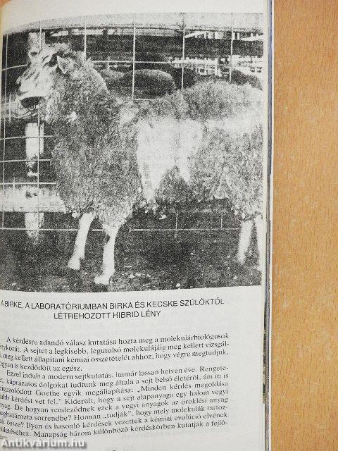 Istenek ivadékai vagyunk