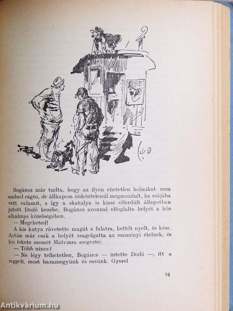 Előadás, szeminárium, gyakorlat a felsőoktatásban