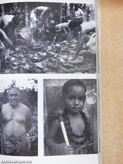 A kenyérfák árnyékában