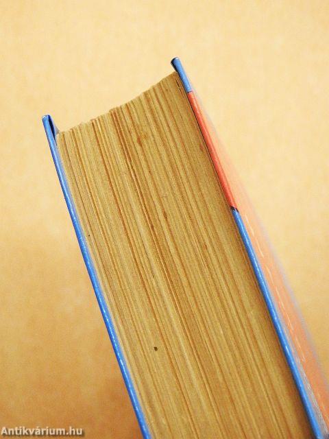 Angol-magyar szótár 