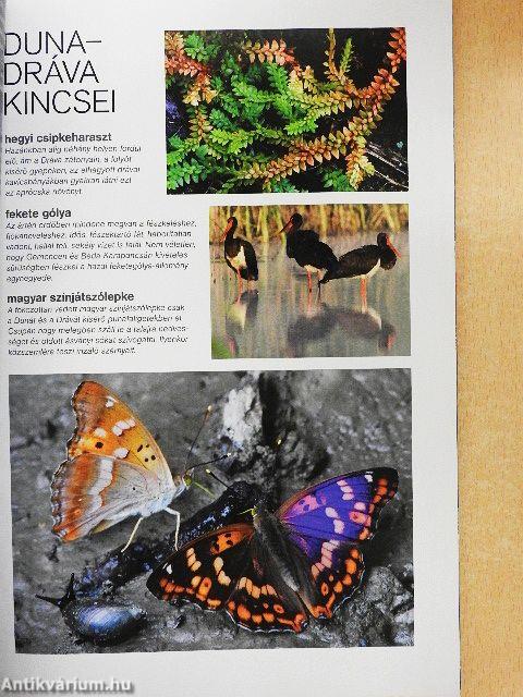 National Geographic Magyarország 2011. november