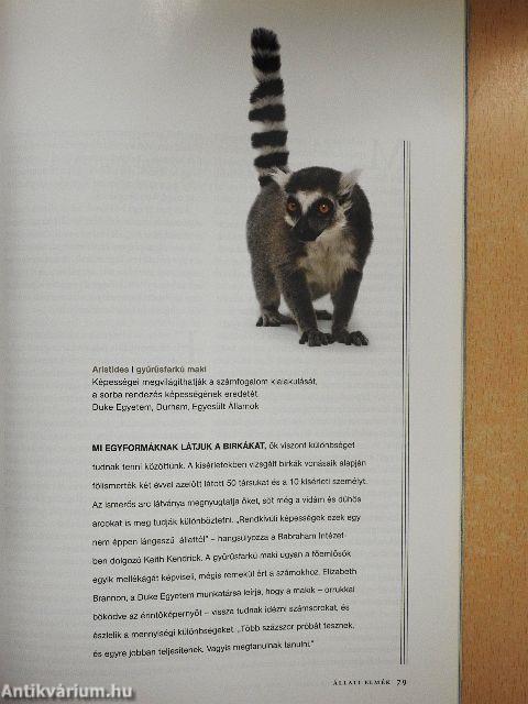 National Geographic Magyarország 2008. március