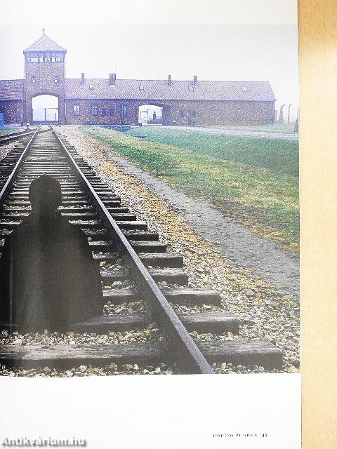 National Geographic Magyarország 2005. december