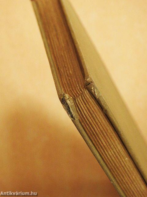 Harcban Budapestért