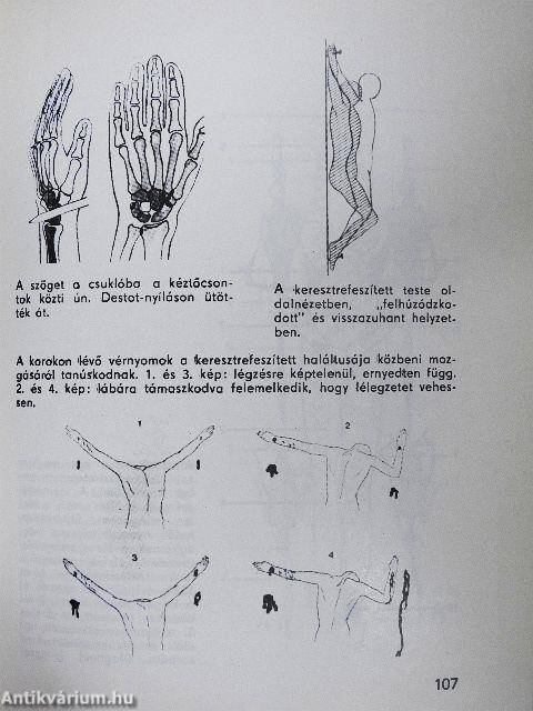 A torinói halotti lepel