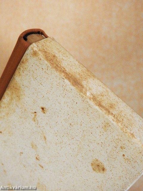 Az öreg halász és a tenger