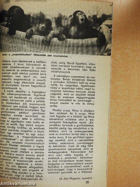 Nők Magazinja 1984. (nem teljes évfolyam)