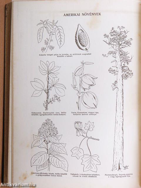 Uj idők lexikona 1-24.