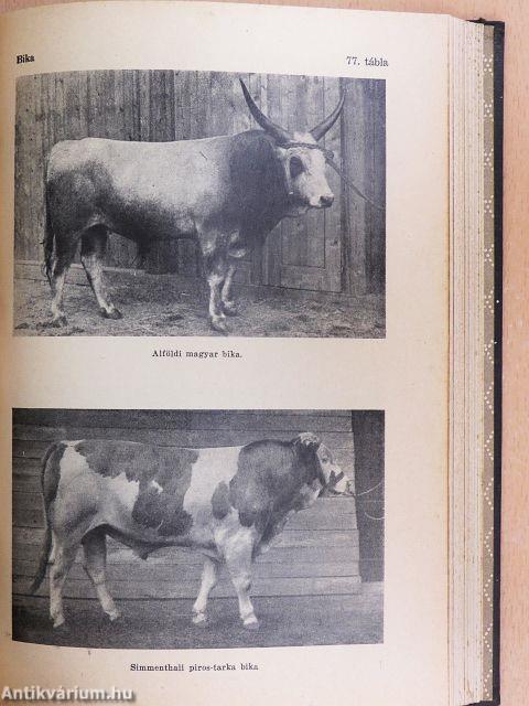 Uj idők lexikona 1-24.