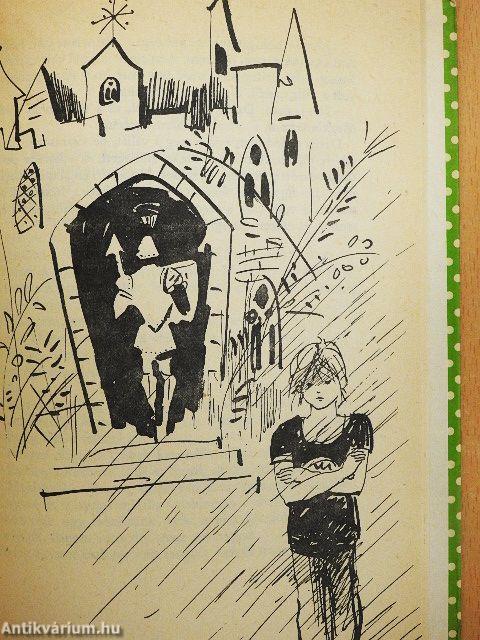 Anonymus diplomatatáskával