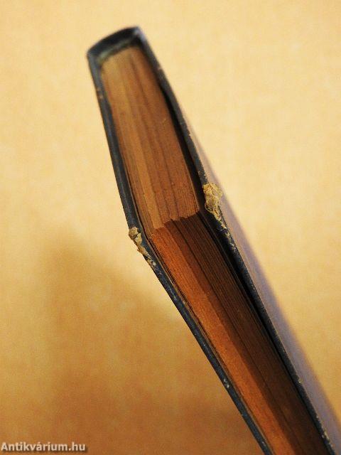 Jugoszláv partizánokkal