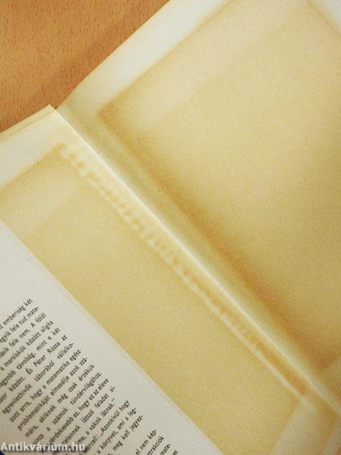 Játék a végtelennel