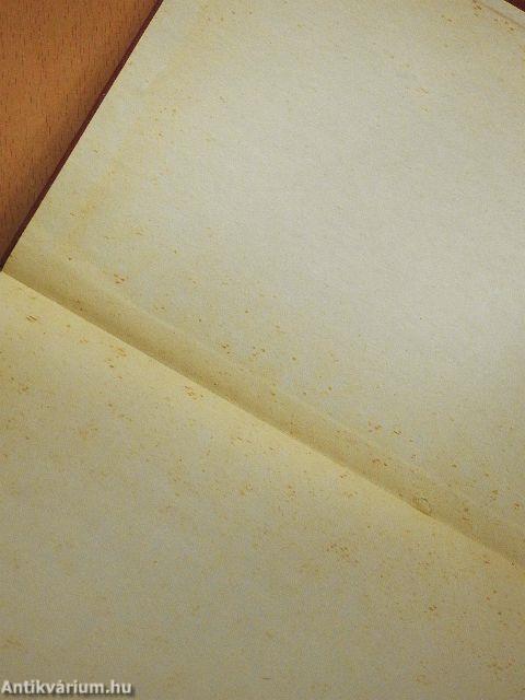 A padlásszoba kis hercegnője