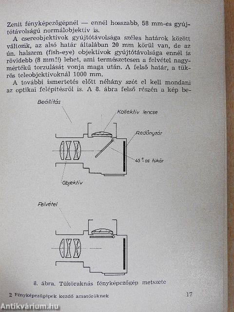 Fényképezőgépek kezdő amatőröknek