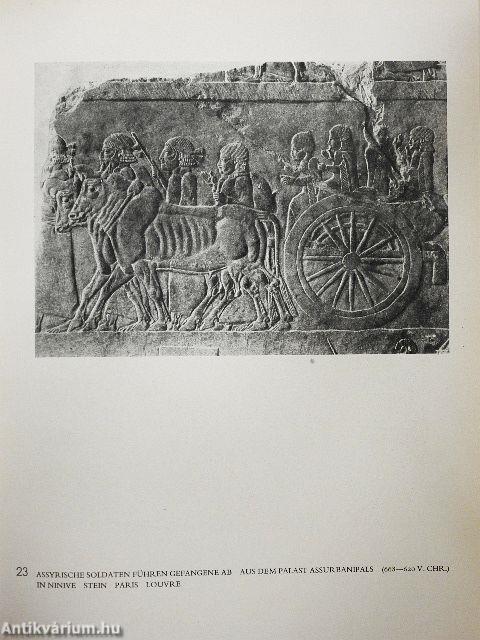 Tierplastik im Wandel der Zeiten