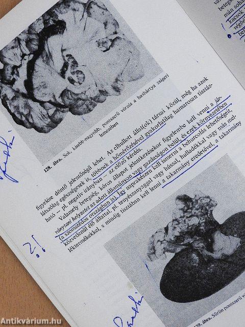 Sertésegészségtan