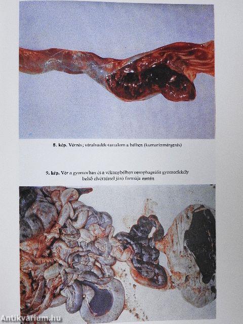 Sertésegészségtan