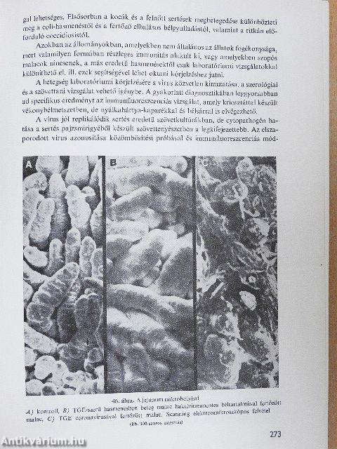 Sertésegészségtan