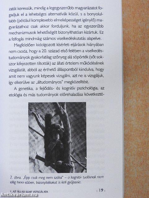 Kutyagondolatok nyomában