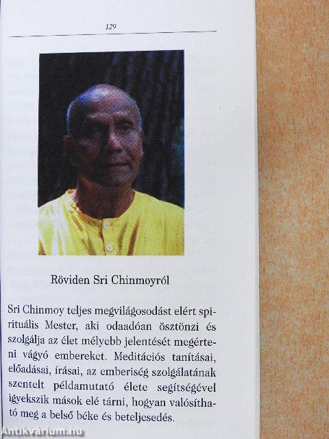 Ezüst álmok szárnyán