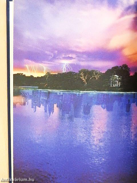 Irigység/Késedelem nélkül/Szerelem első lépésre/Vadászidény