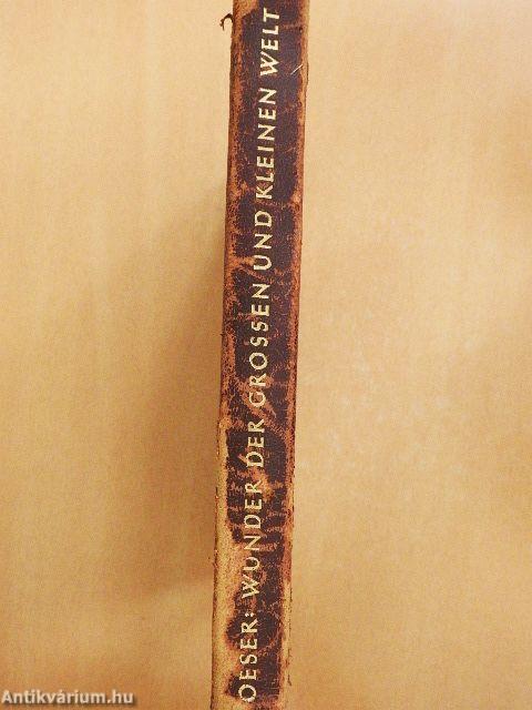 Wunder der Grossen und Kleinen Welt