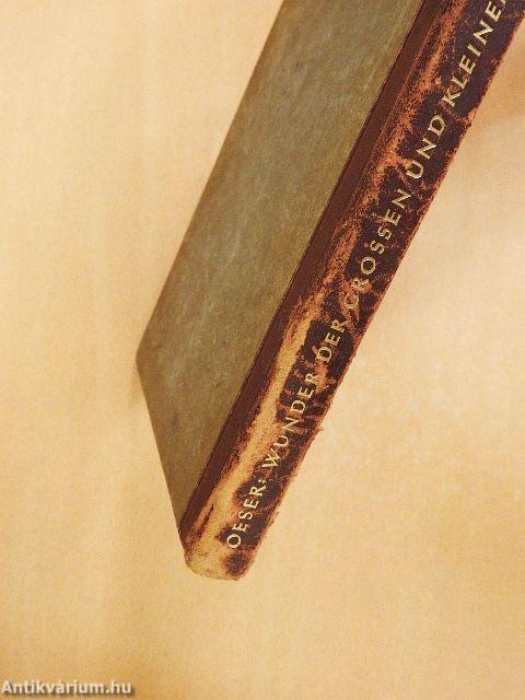 Wunder der Grossen und Kleinen Welt